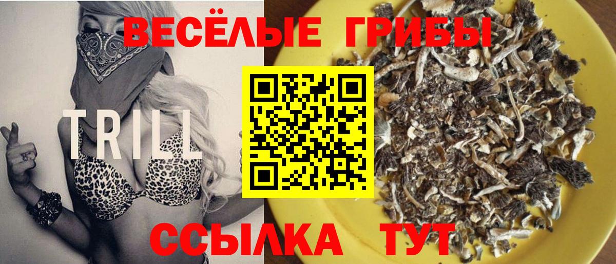 Галлюциногенные грибы Psilocybe Рузаевка