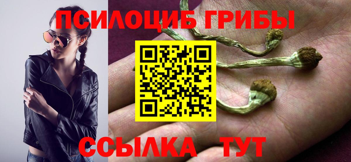 Рузаевка  Псилоцибиновые грибы мухоморы  Вход с VPN  Псилоцибиновые грибы Magic Shrooms 